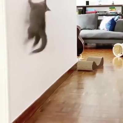 &ldquo;I&rsquo;m Ninja and I bounce off the walls."