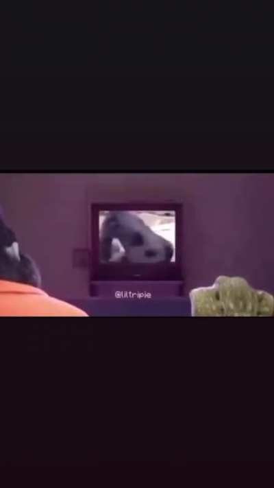 Monke
