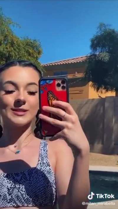 New TikTok