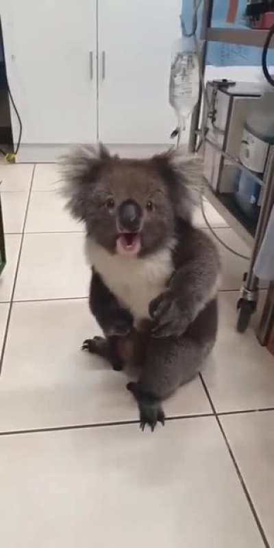 So cute