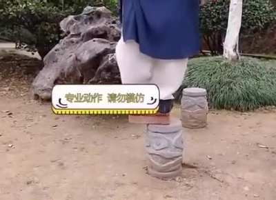 Time to bring some real deal!(Chinese kungfu)