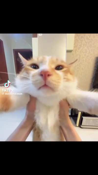 Hello
