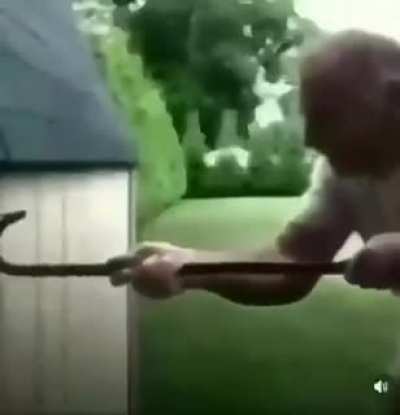 Dou