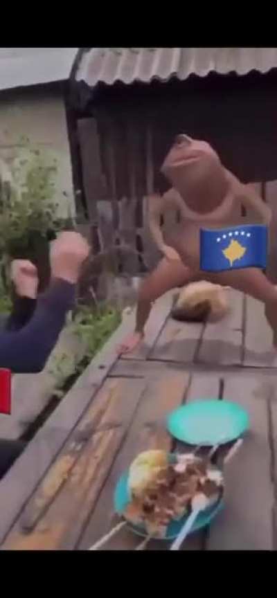 Albenjan frog, is the best frog 😎