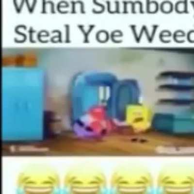 When Sumbod Steal Yoe Weed 😂😂😂😂