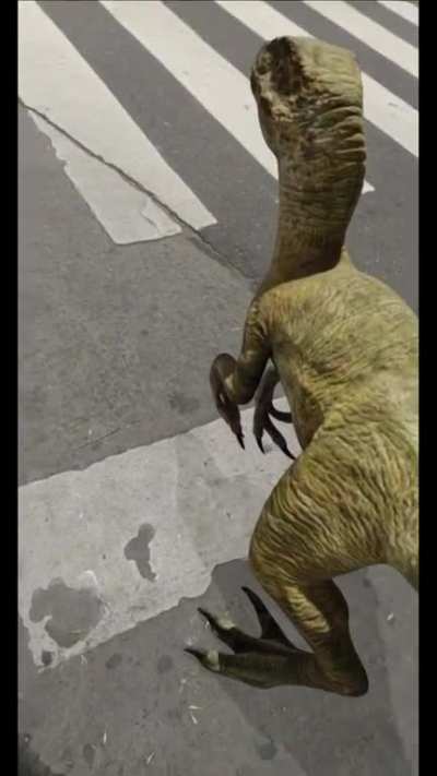 No puedo usar transporte público. Por suerte hay dinos!