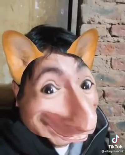 Guau