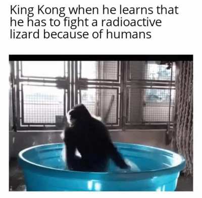 Monke angery