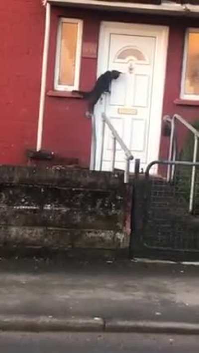 &ldquo;Excuse me, I think you&rsquo;ve forgot me outside&rdquo;