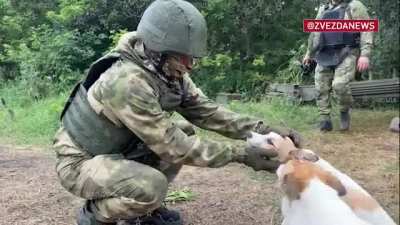 Ru pov: Artillerymen sheltered dogs in the Avdeevka direction, and the animals in response help and warn the fighters about uninvited guests: &acirc;These are our calls. We feed, we care. Someone is coming - they notify, you will find out in advance, &acirc; a Ru
