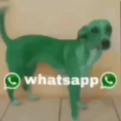 Watsapp