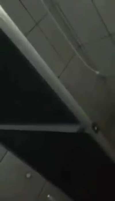 Brazilian Vs Rat