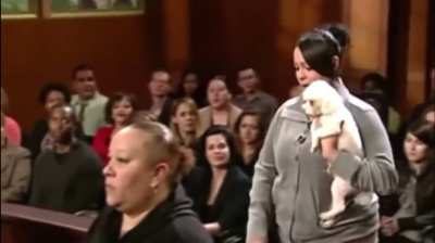 Judge Judy let&rsquo;s dog find it&rsquo;s REAL owner&hellip;
