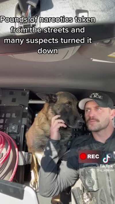 is he &ldquo;un-aliving&rdquo; the dog or why is everyone crying!?