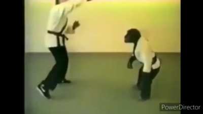Don't mess with monke when he training😤