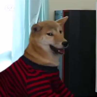 I feel the dog&rsquo;s pain