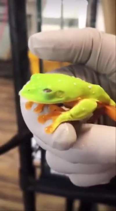 Smol eyes BIG EYES