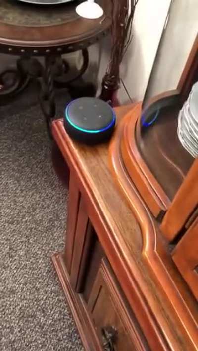 "Alexa, we need lots of guns".