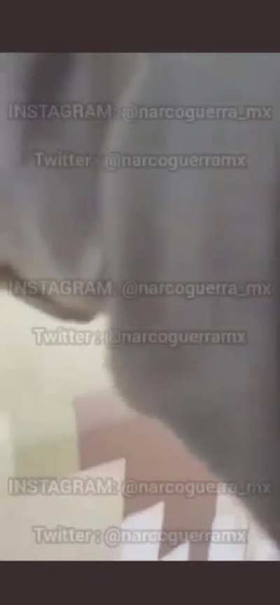 GN POV Of Recent Sonora Confrontation