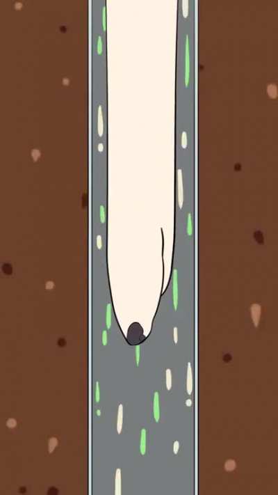 Longboi