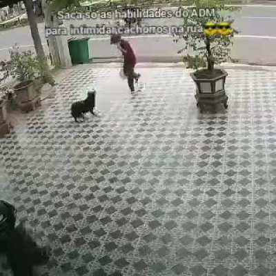 O Ademir e foda