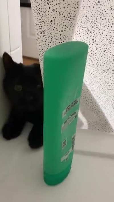 touch tha shampoo