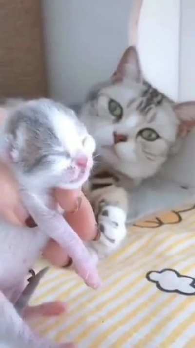 It's mine Linda
