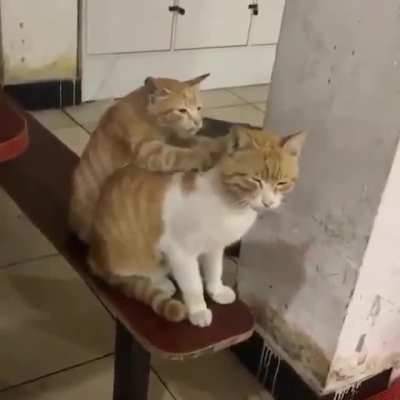 You look like you&rsquo;ve had a long day, bro