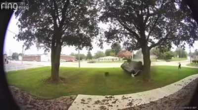Just an average day, mowing the lawn