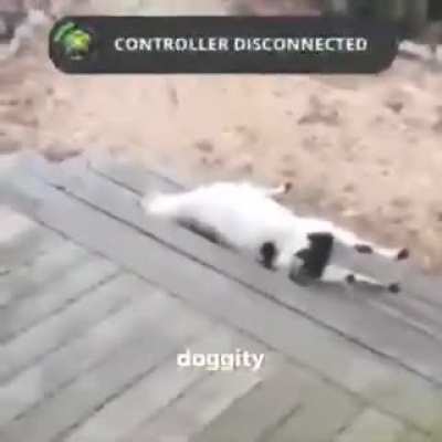 "Waaaaah"