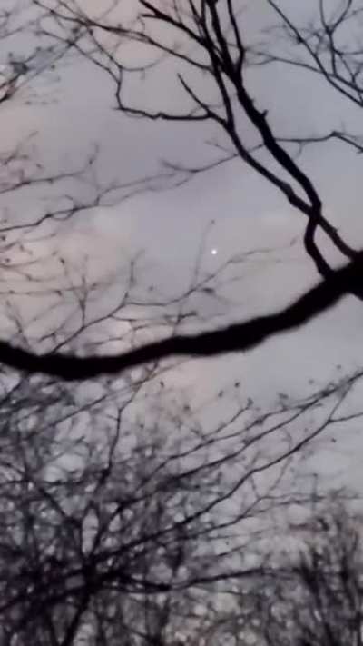 orbs of light . confirmed 100%