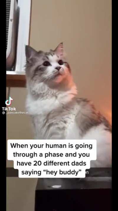 gay😩irl