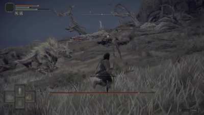 Release the Hounds