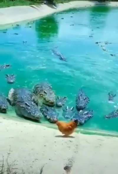 Big cock energy