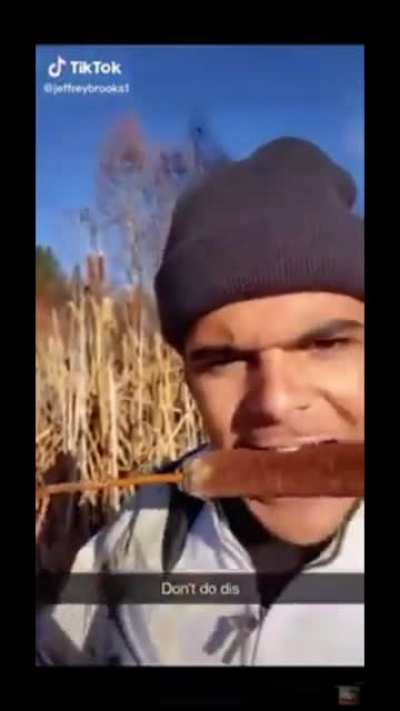 Guy bites into a cattail