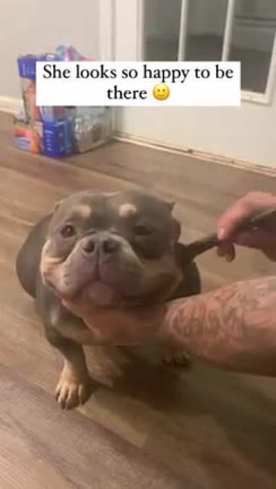 She knows she&rsquo;s beautiful 🐶😂