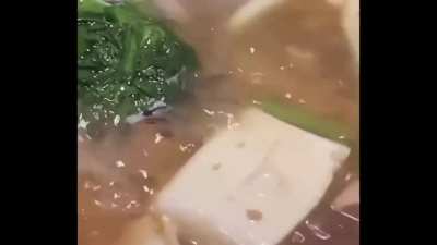 Lil Tofu