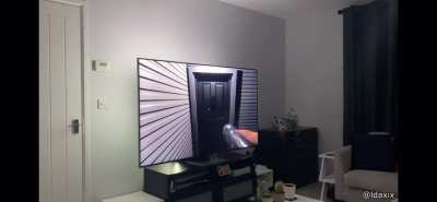 Phasmophobia With LEDs