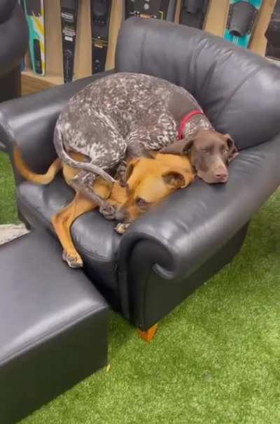 Excuse me, is this seat taken?