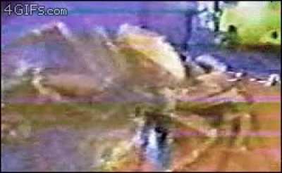 Crab sucked into a 3mm wide slit in a pipeline 6,000 feet underwater. The pressure outside the pipe is 1.3 tons per square inch.