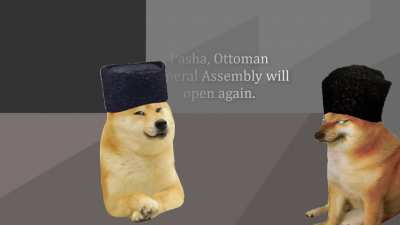 Some Handsome Genius Turkish Guy Saves Turkey But They Are Doge