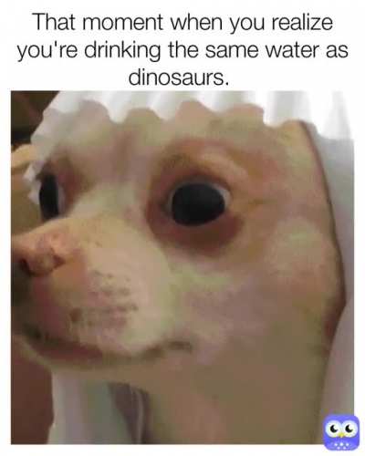 Maybe I am a dinosaur...