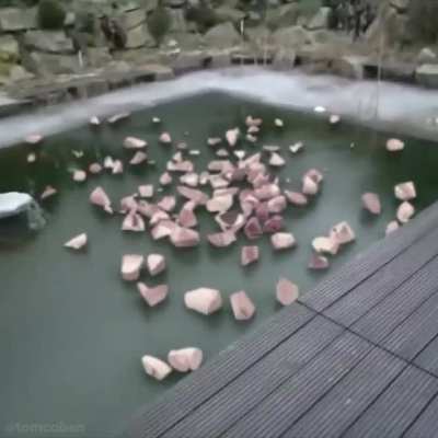 Totally smashed