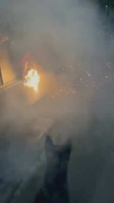 The dog tried to blow up the house