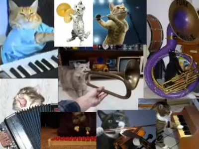 Wunkus orchestra