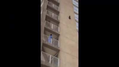 Cat forgot his parachute.