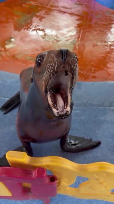 Bro can&rsquo;t contain his silliness