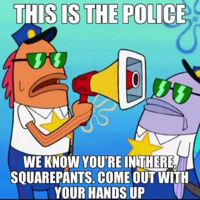 Sponge