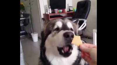smile.mp4