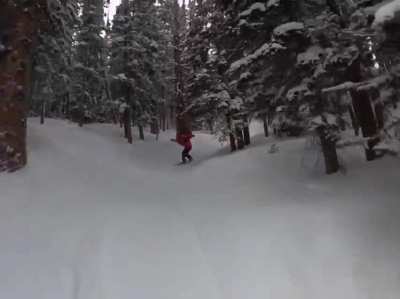 Everyone&rsquo;s favorite wooded gully at Breckenridge